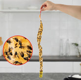 STICKYFLY - PAST NA HMYZ