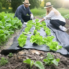 VEGMESH™ – MULČOVACÍ FÓLIE (1x10m)